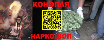 мдма Камышлов