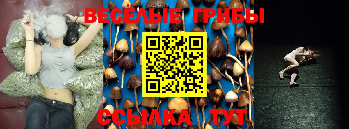Галлюциногенные грибы прущие грибы  Вход с VPN  Стрежевой  Псилоцибиновые грибы GOLDEN TEACHER 